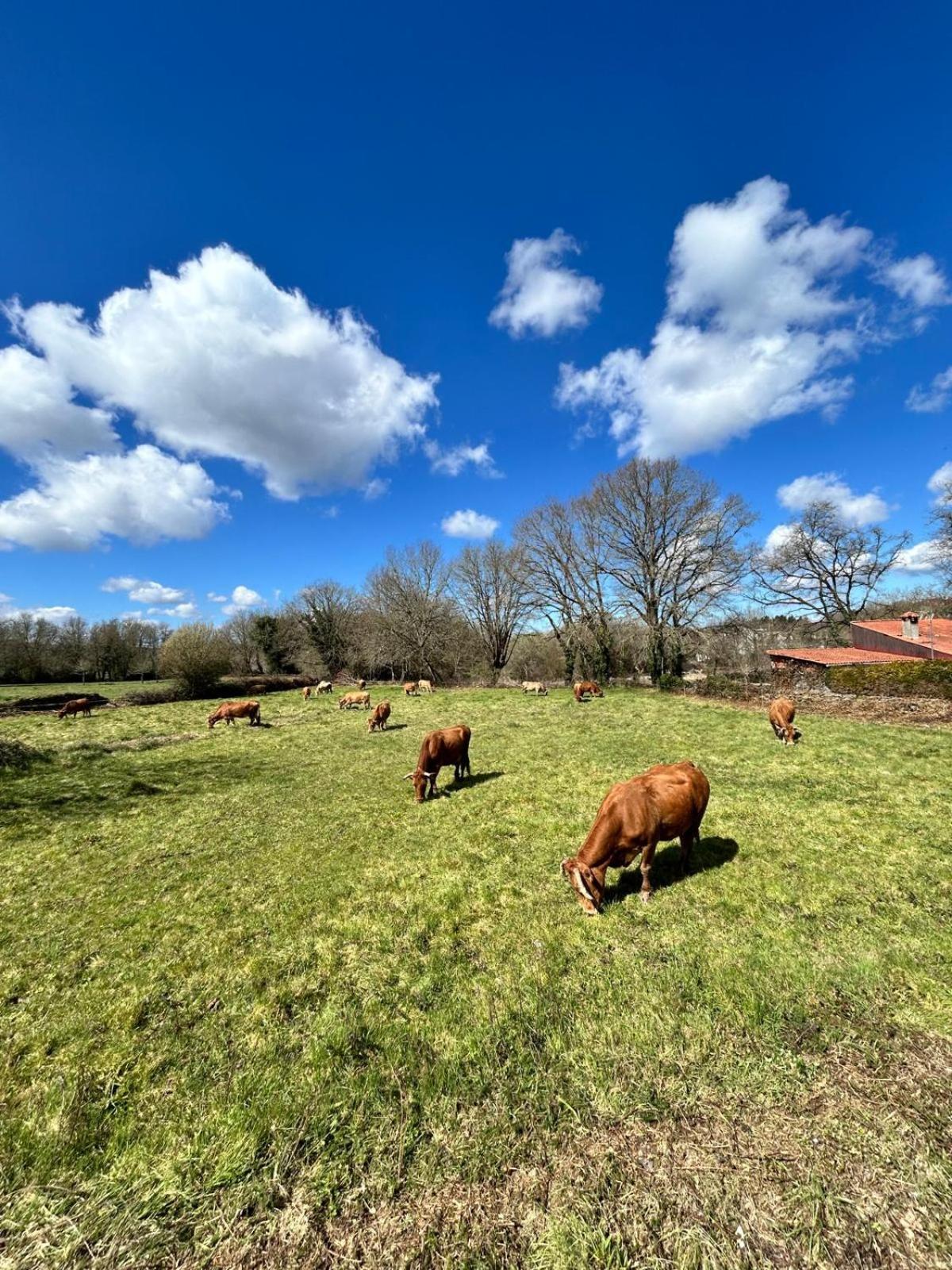 Appartamento Casa Lamela Villasante Esterno foto
